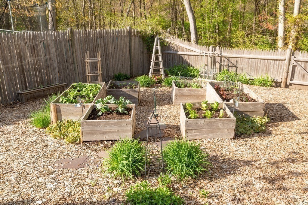 36 Wentworth Road Canton, MA 02021 - Photo 34 of 42 a view of a backyard with plants and wooden fence