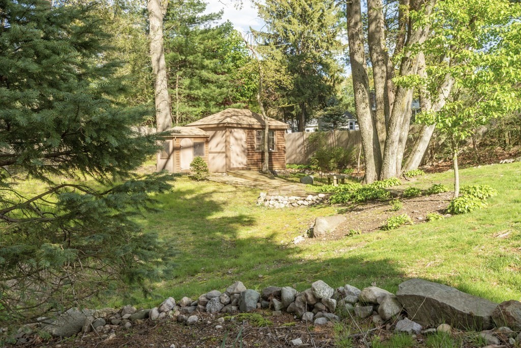36 Wentworth Road Canton, MA 02021 - Photo 6 of 42 a view of a yard with an trees