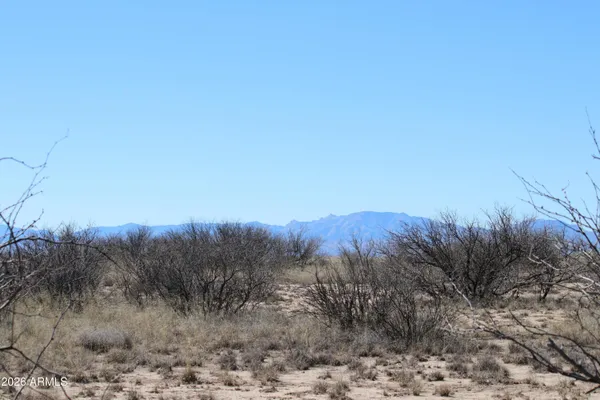 a view of a dry yard with trees in the background