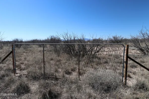 a view of a yard next to a dry yard