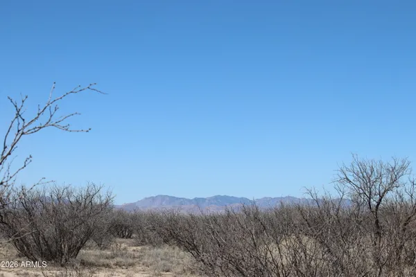 a view of a bunch of trees