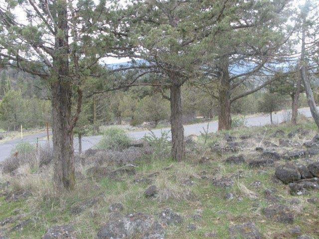 0 Kestrel Road Klamath Falls, OR 97601 - Photo 1 of 6 Primary Photo