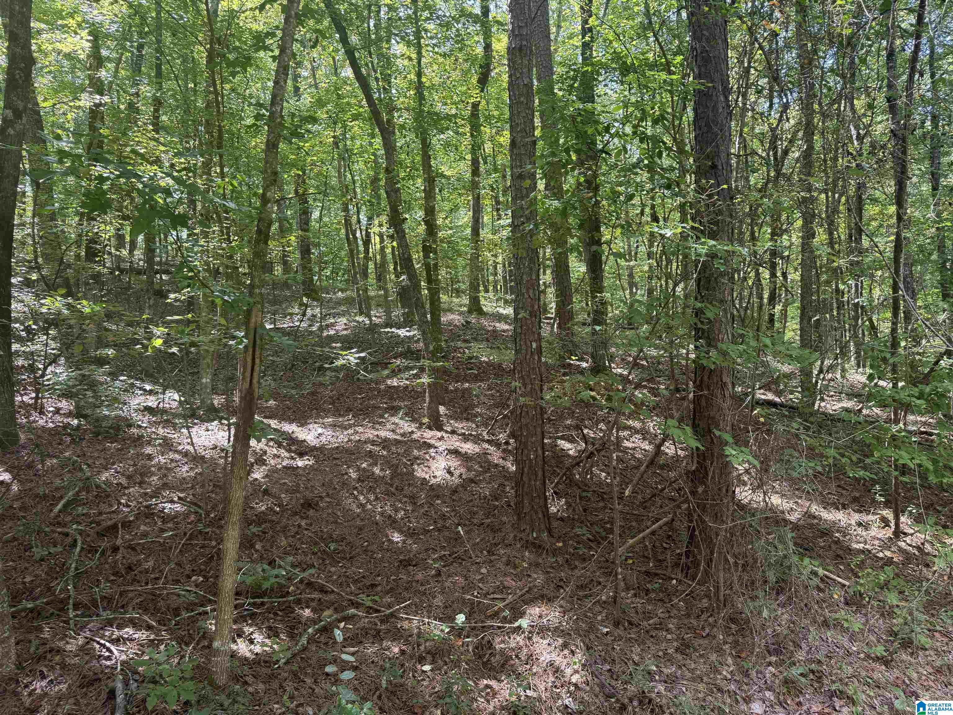 85 Mohawk Court, Unit 22 Ohatchee, AL 36271 - Photo 30 of 37
