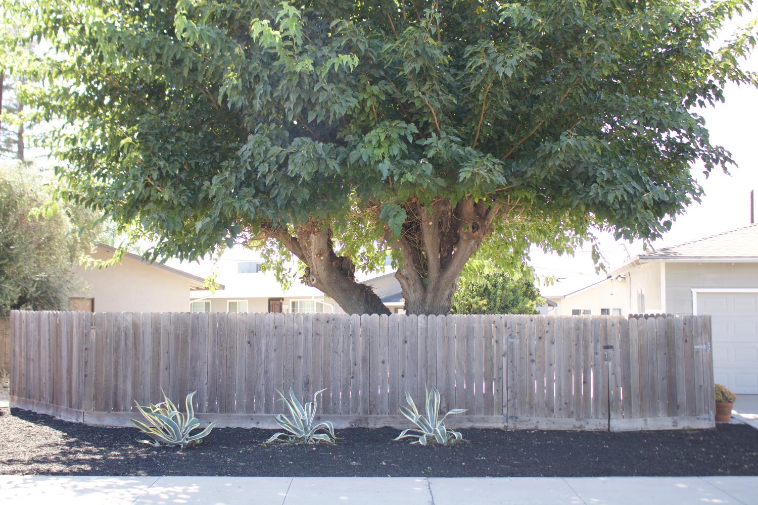 441 Bothun Road Turlock, CA 95380 - Photo 5 of 29 Gallery Image 5