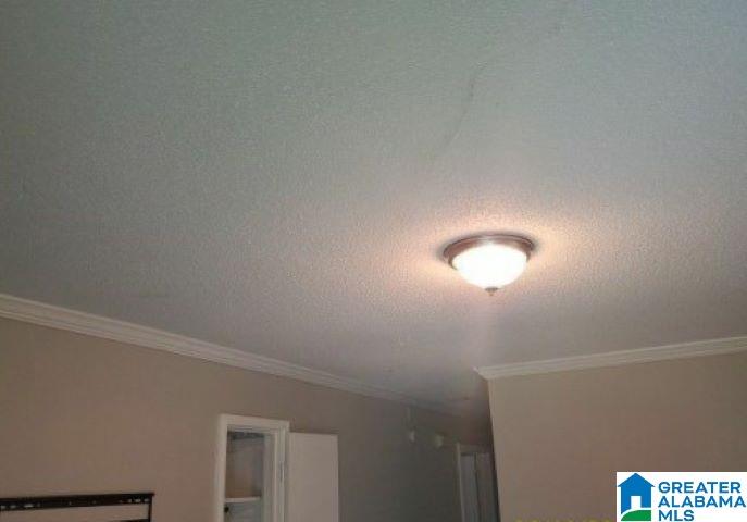 3729 Maple Avenue Southwest Birmingham, AL 35221 - Photo 8 of 13