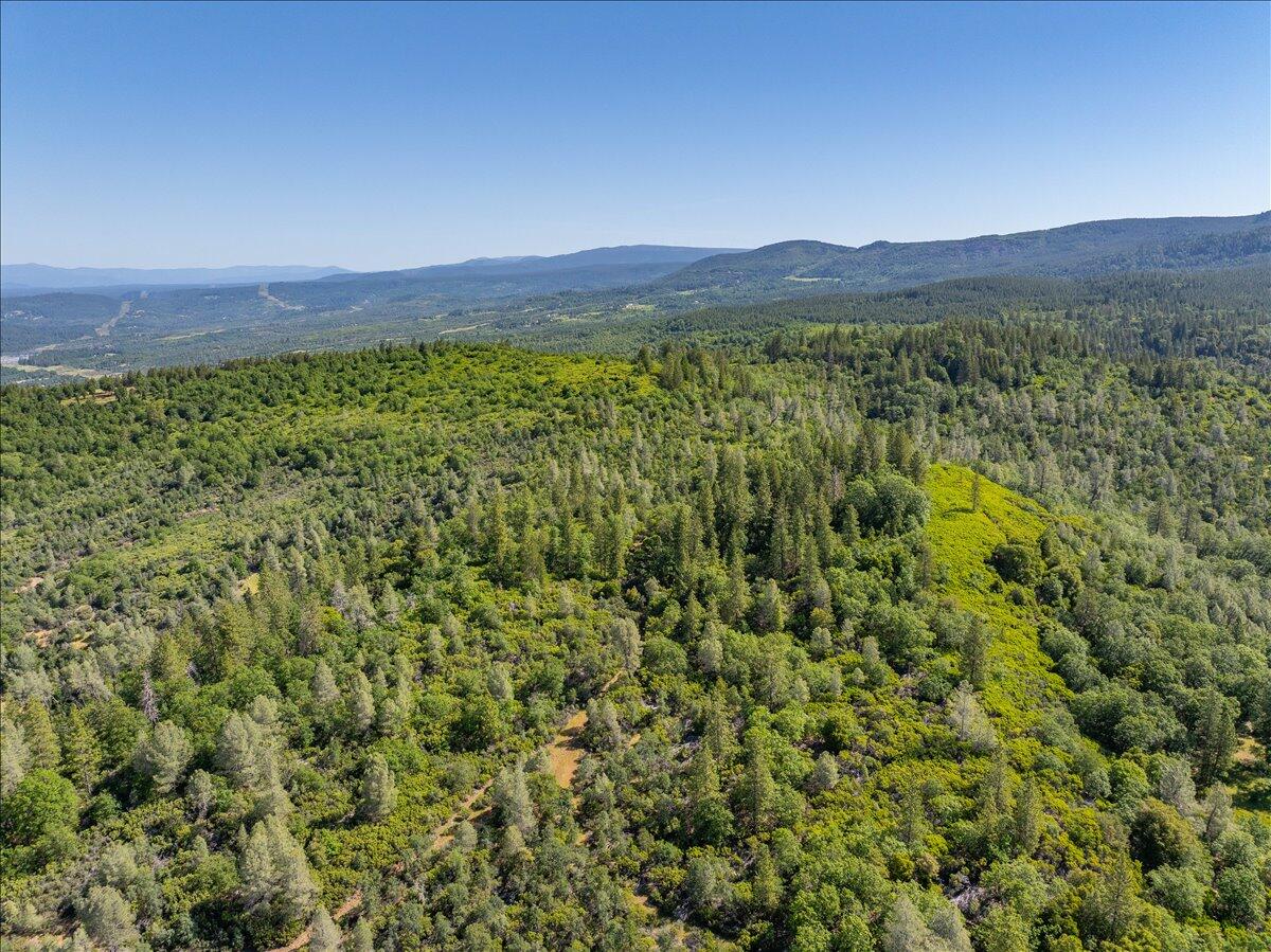 Melton Road Bella Vista, CA 96008 - Photo 11 of 14 a view of a lush green hillside and a houses