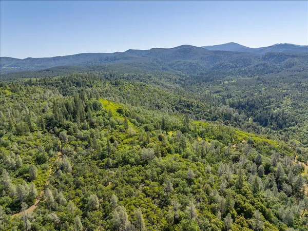 a view of a lush green hillside and a mountain view