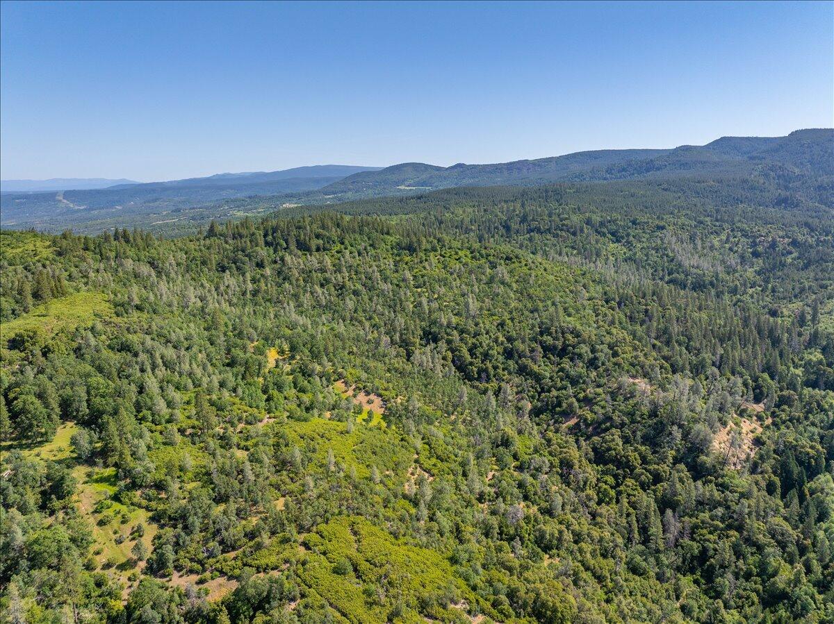 Melton Road Bella Vista, CA 96008 - Photo 14 of 14 a view of a lush green hillside and a houses