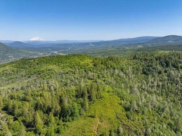 a view of a lush green field with a mountain in the background
