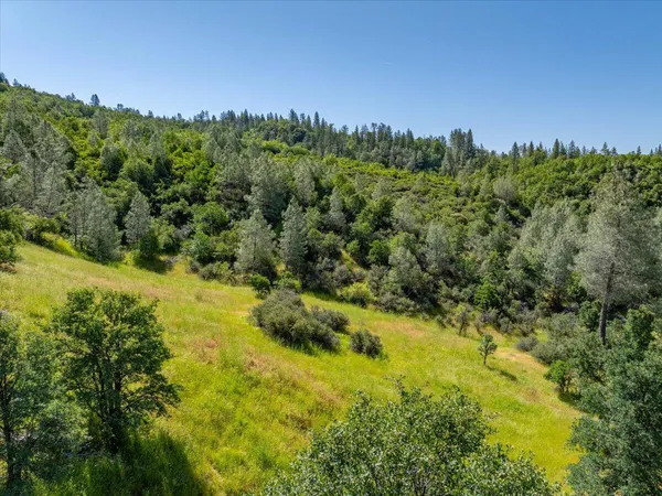 a view of a yard with a tree