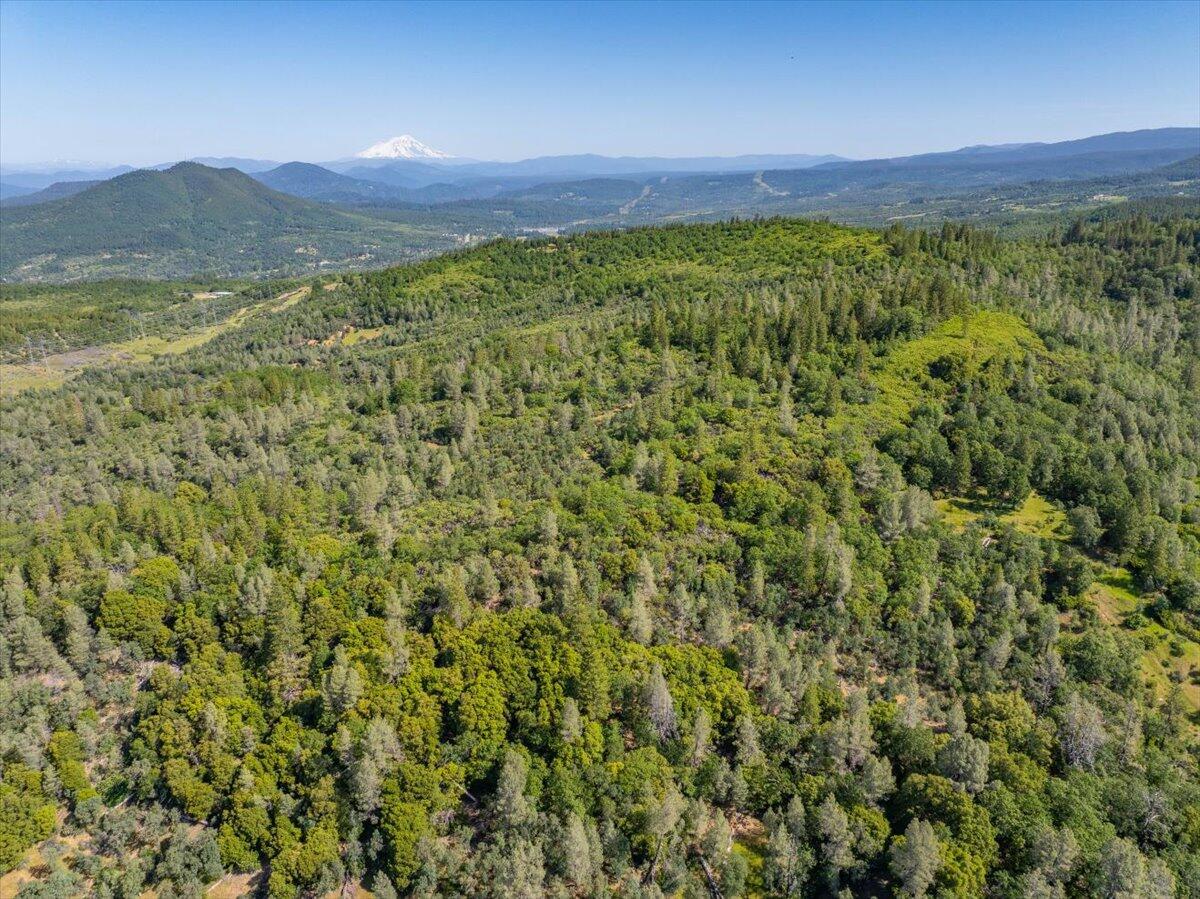 Melton Road Bella Vista, CA 96008 - Photo 4 of 14 a view of a lush green hillside and a houses
