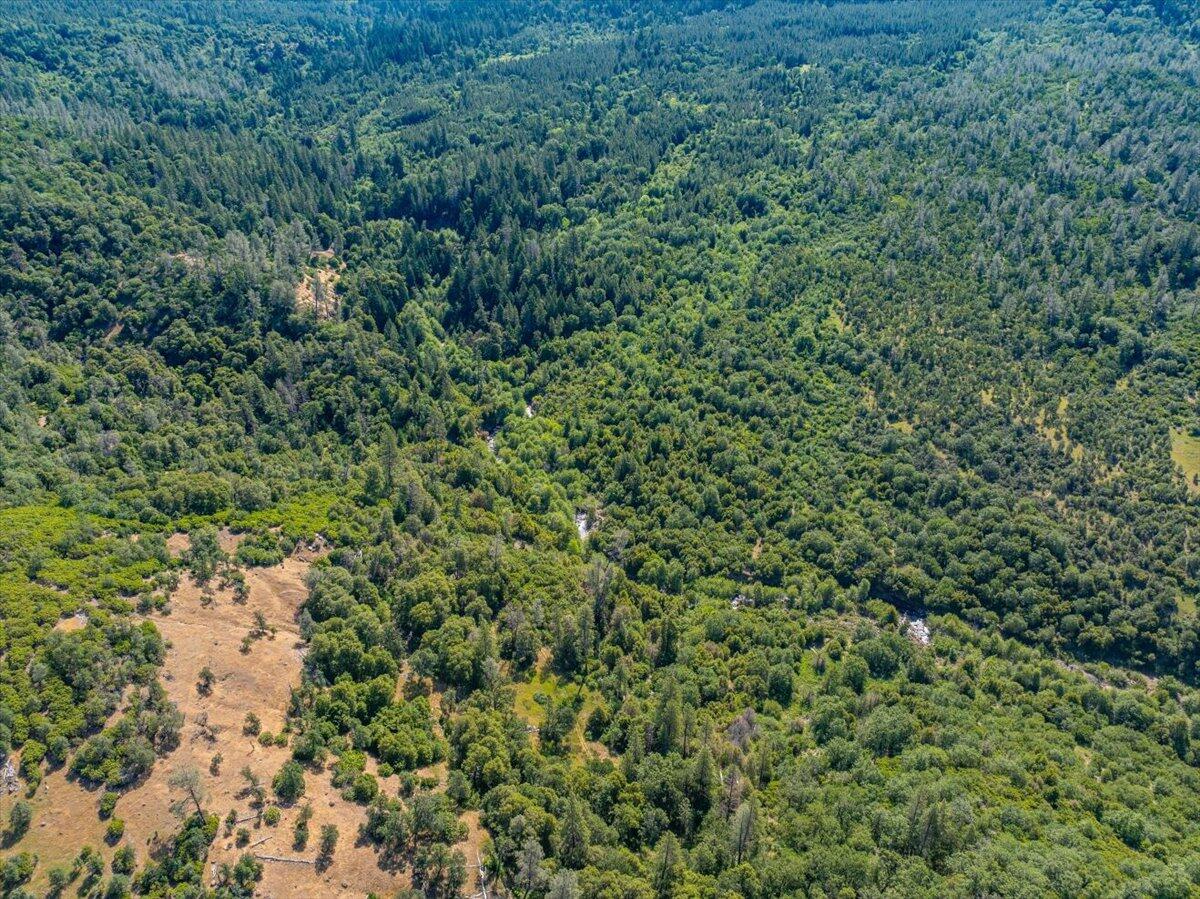 Melton Road Bella Vista, CA 96008 - Photo 6 of 14 a view of a forest with a tree