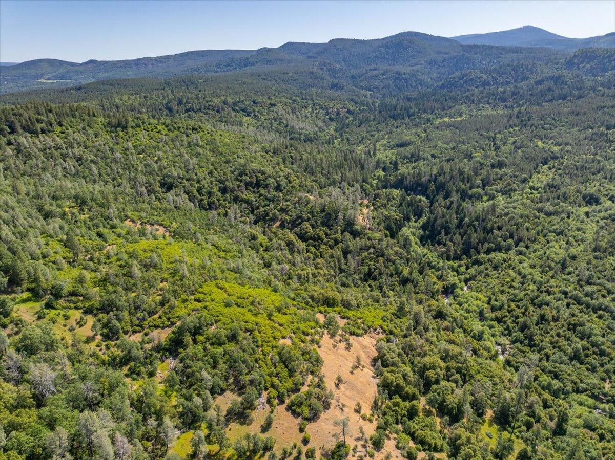 Melton Road Bella Vista, CA 96008 - Photo 7 of 14 a view of a lush green hillside and a houses