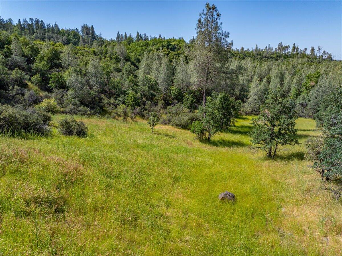 Melton Road Bella Vista, CA 96008 - Photo 8 of 14 a view of a trees in a yard