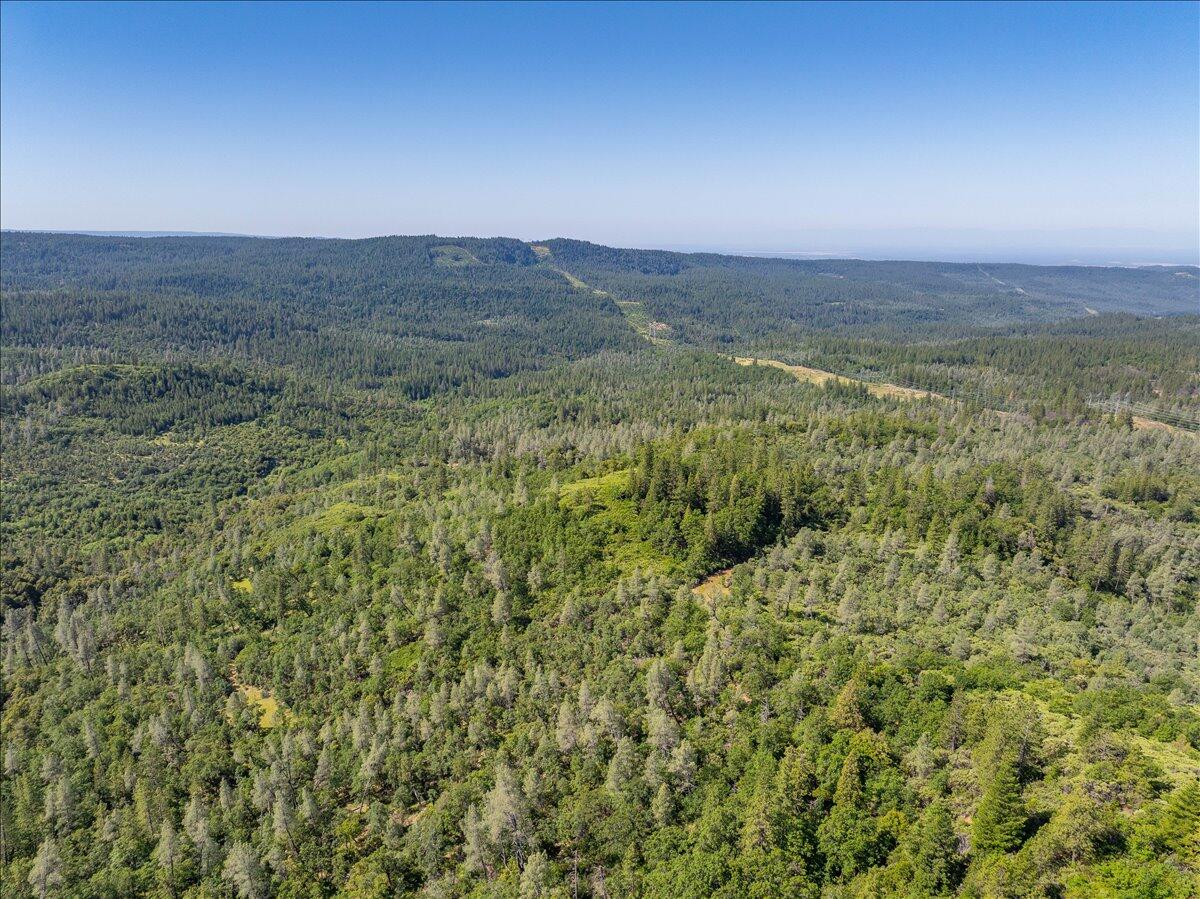 Melton Road Bella Vista, CA 96008 - Photo 9 of 14 a view of a dry yard with an outdoor seating and trees