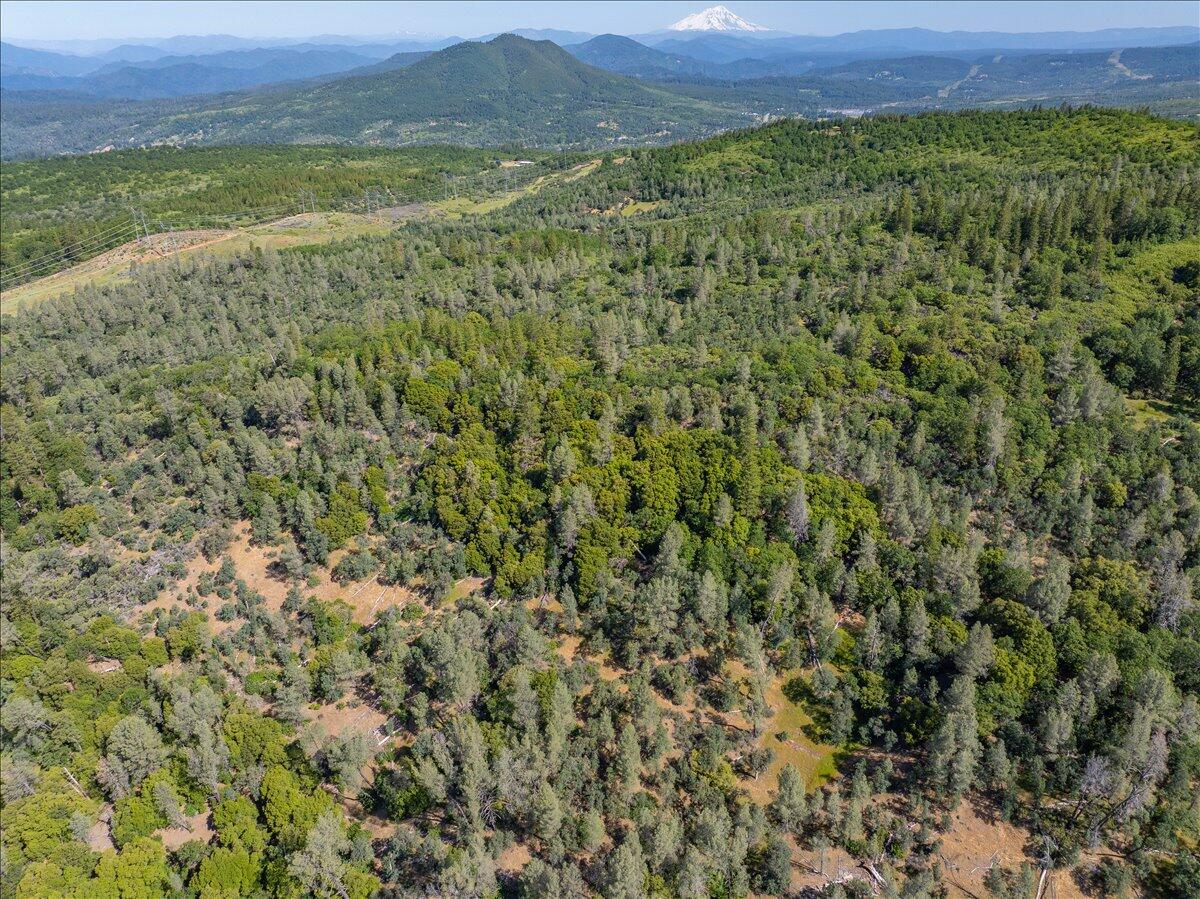 Melton Road Bella Vista, CA 96008 - Photo 10 of 14 a view of a lush green field