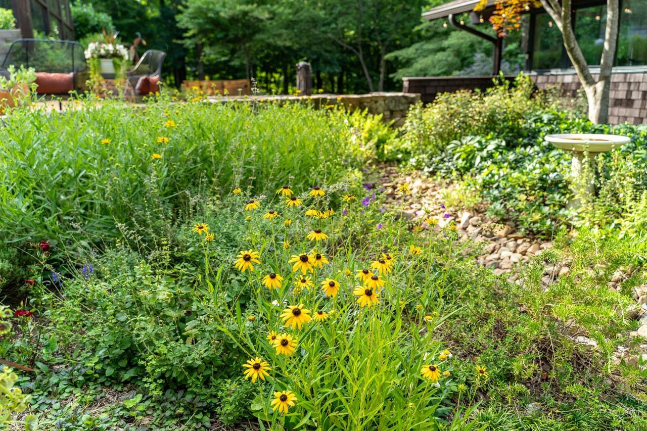 1527 Pinecrest Road Durham, NC 27705 - Photo 47 of 50 Photo 47