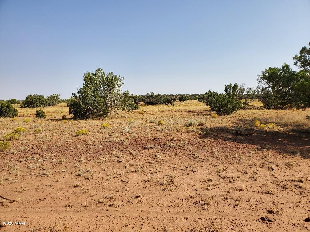 3785 Jackrabbit Pinetop, AZ 85935 - Photo 11 of 12