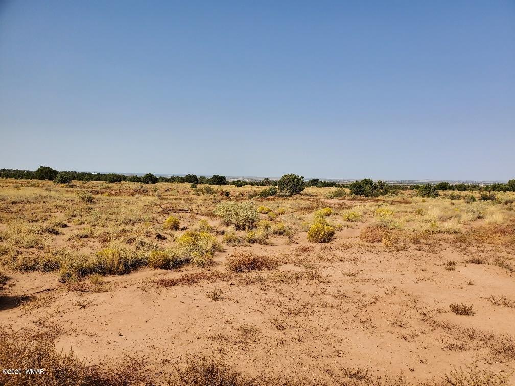 3785 Jackrabbit Pinetop, AZ 85935 - Photo 12 of 12
