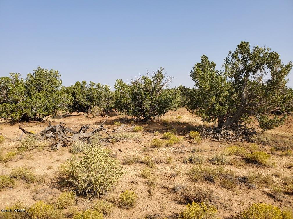 3785 Jackrabbit Pinetop, AZ 85935 - Photo 2 of 12