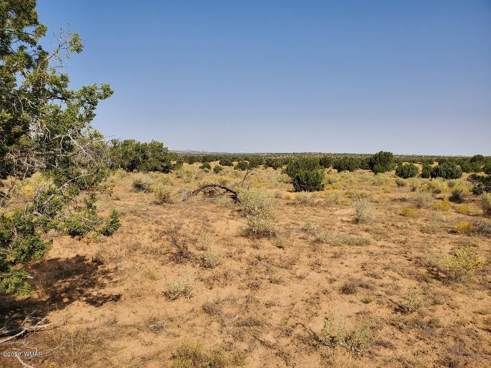 3785 Jackrabbit Pinetop, AZ 85935 - Photo 3 of 12