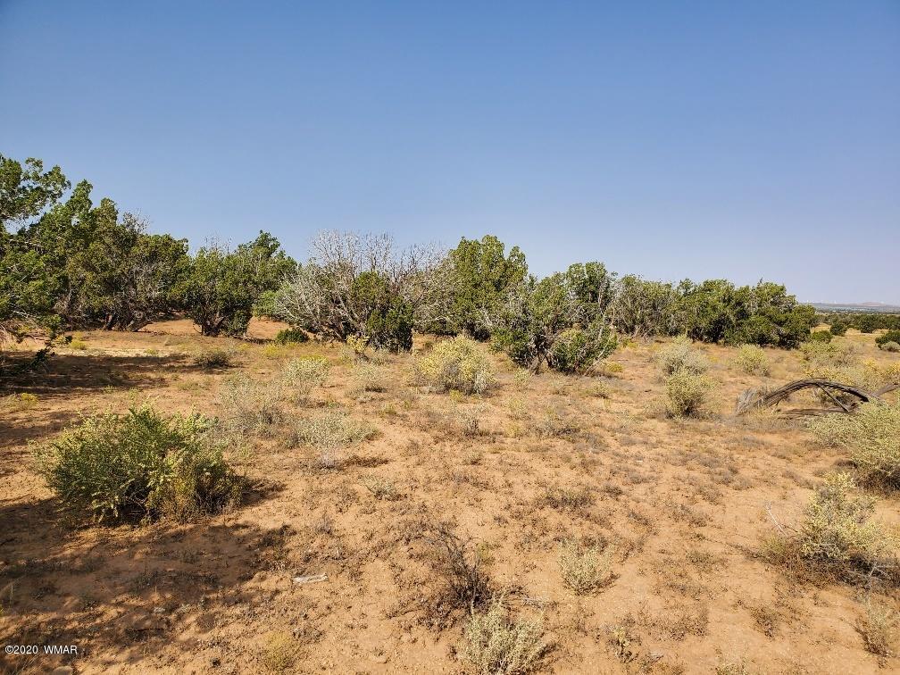 3785 Jackrabbit Pinetop, AZ 85935 - Photo 4 of 12