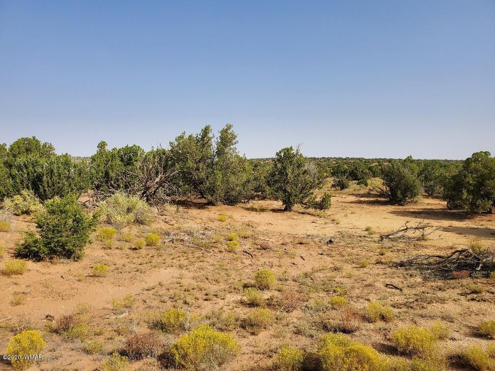 3785 Jackrabbit Pinetop, AZ 85935 - Photo 6 of 12