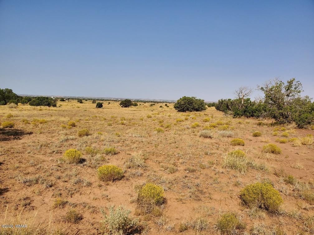 3785 Jackrabbit Pinetop, AZ 85935 - Photo 10 of 12