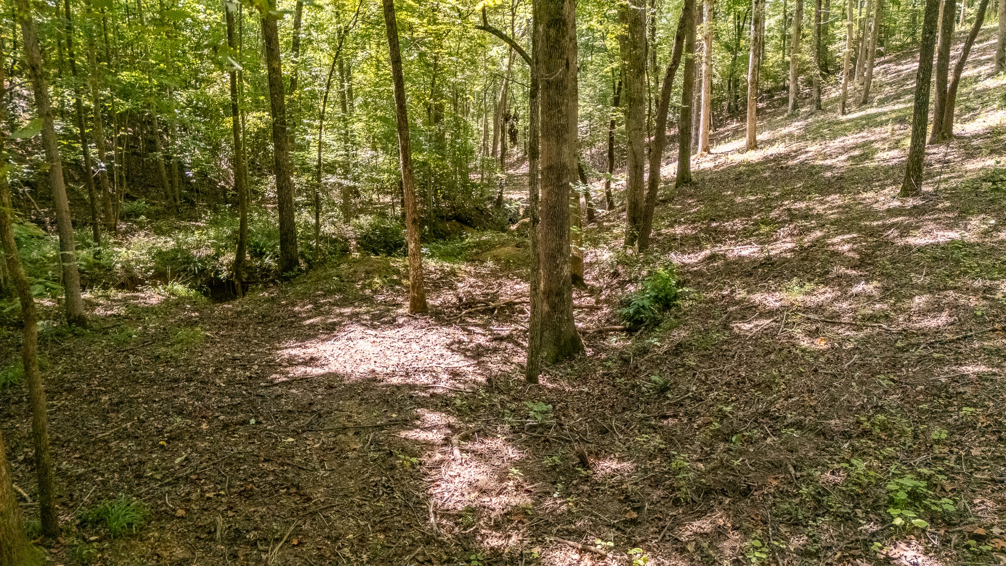 1239 Cherokee Road Waynesboro, TN 38485 - Photo 47 of 62 Gallery Image 47