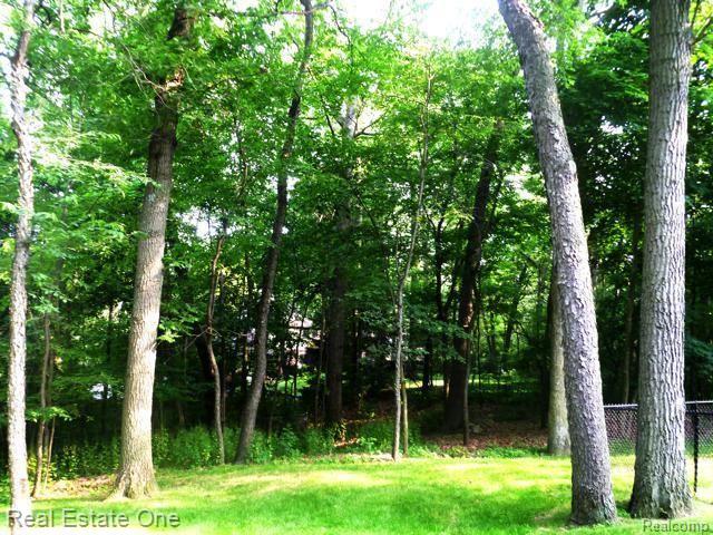 541 Ridgewood Road Rochester, MI 48306 - Photo 23 of 24 privacy_treed