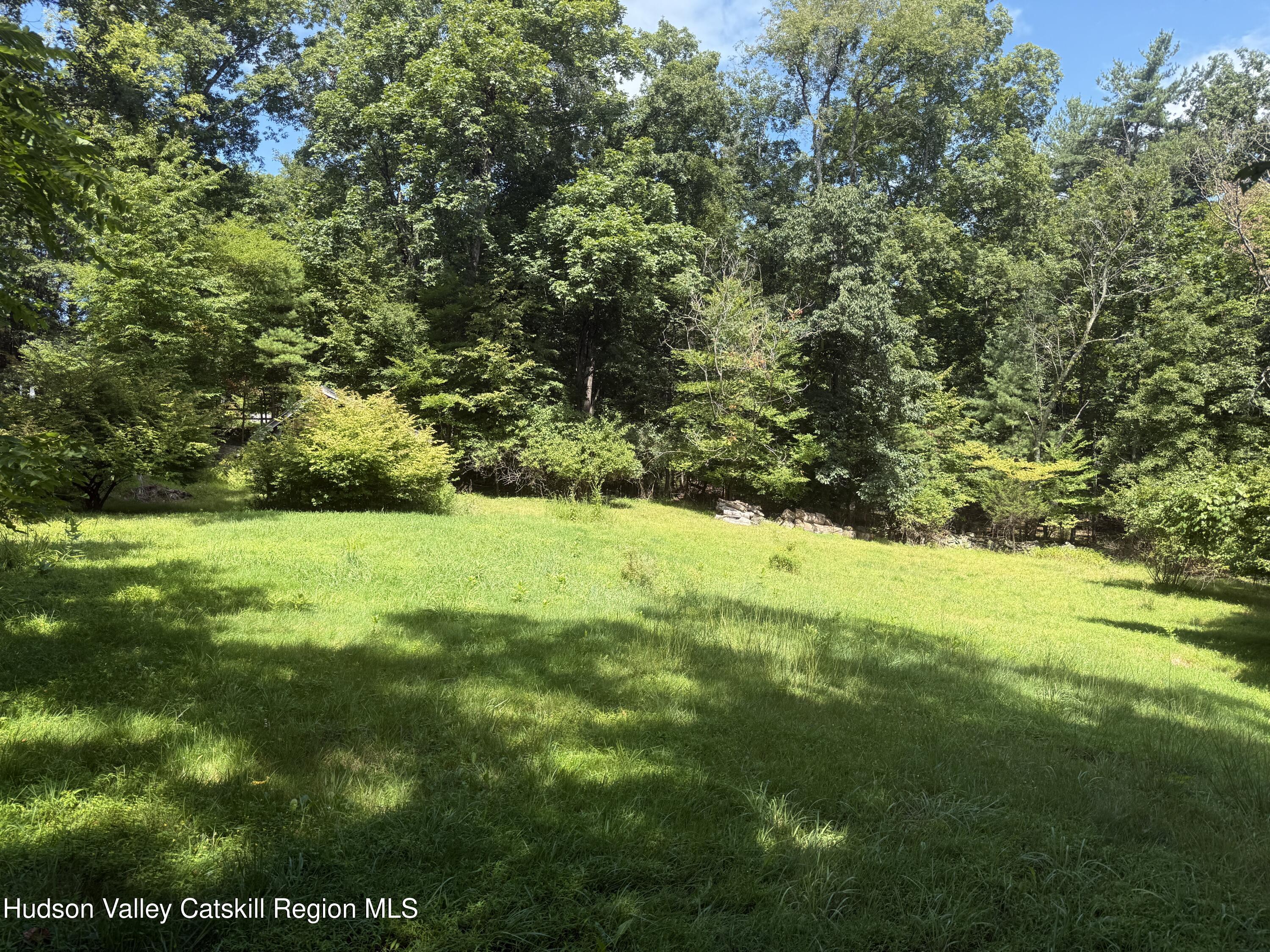 35 Crispell Road Olivebridge, NY 12461 - Photo 33 of 39 33IMG_4367 meadow