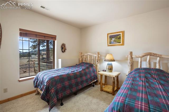 875 Old Ranch Road Florissant, CO 80816 - Photo 29 of 33