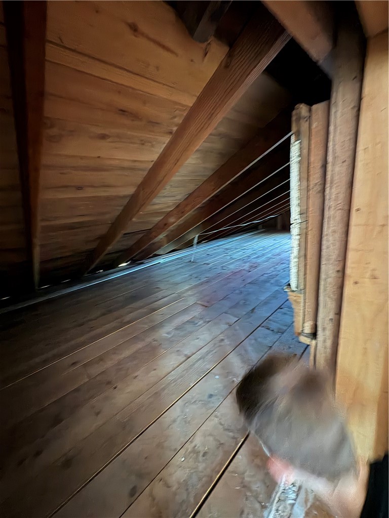 1398 Covered Bridge Road Sidney, NY 13849 - Photo 26 of 35