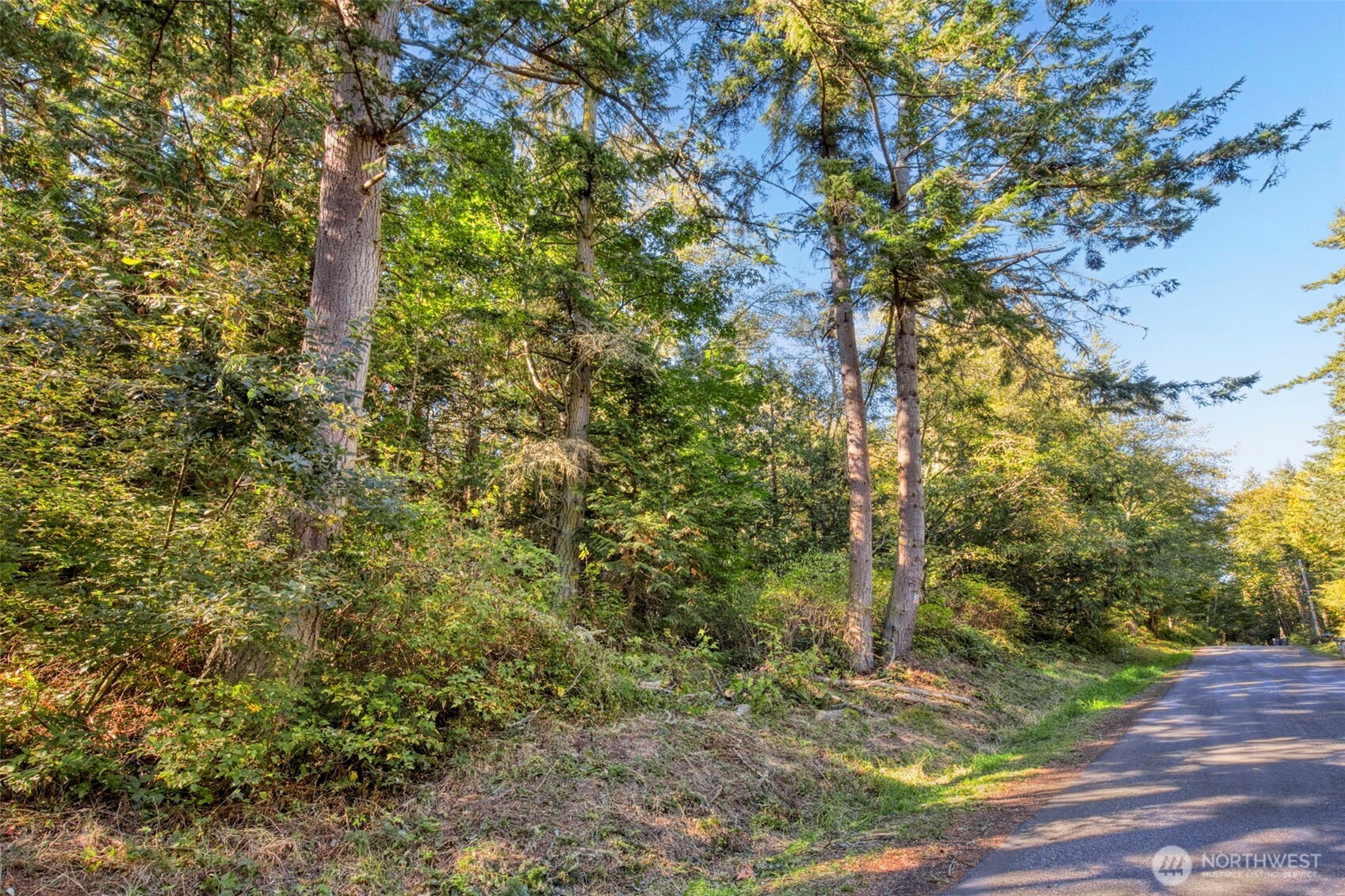 0 Skunk Bay Road Northeast Hansville, WA 98340 - Photo 2 of 19 a view of a tree with a yard