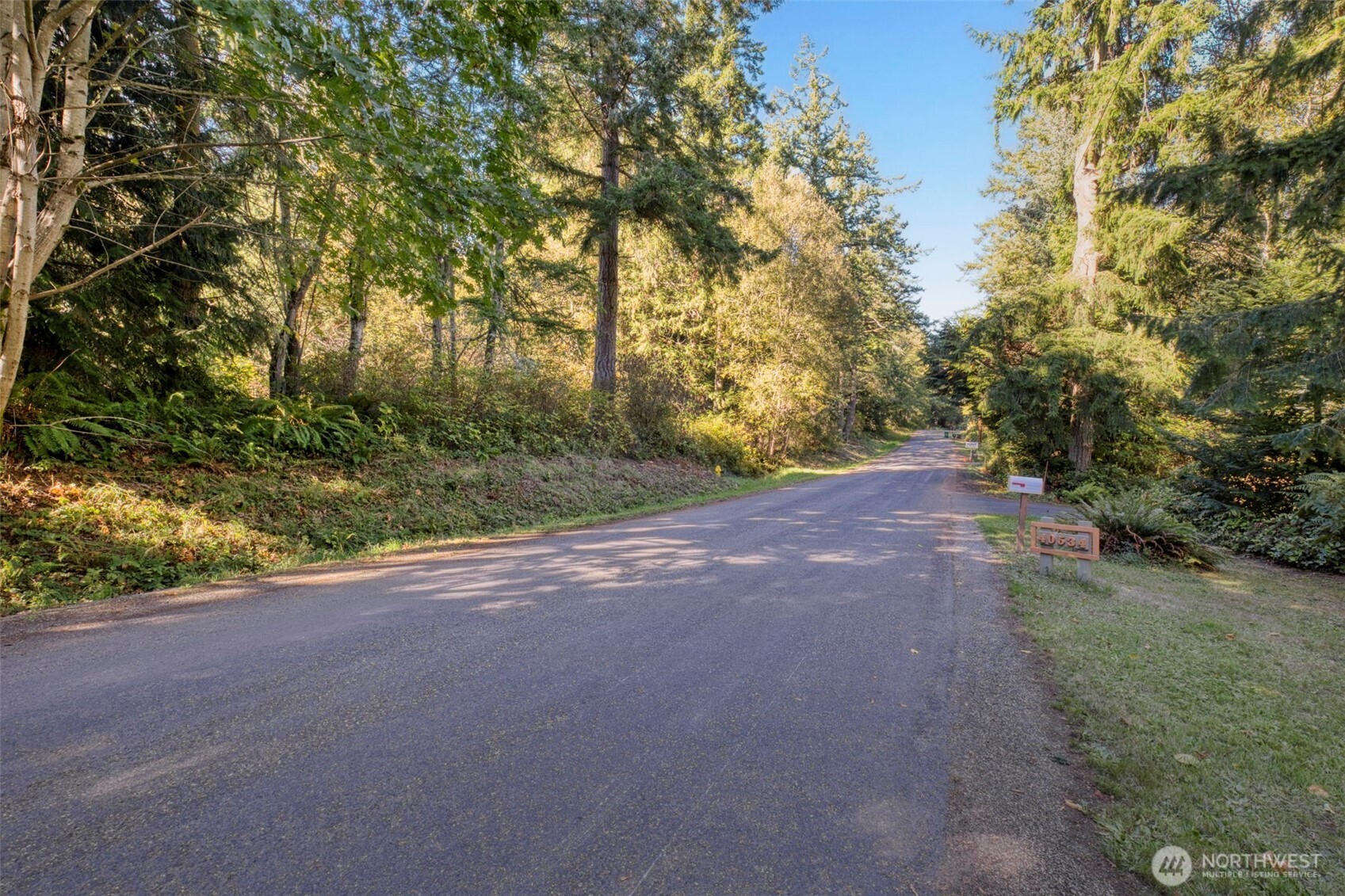 0 Skunk Bay Road Northeast Hansville, WA 98340 - Photo 3 of 19 a view of a yard with a tree