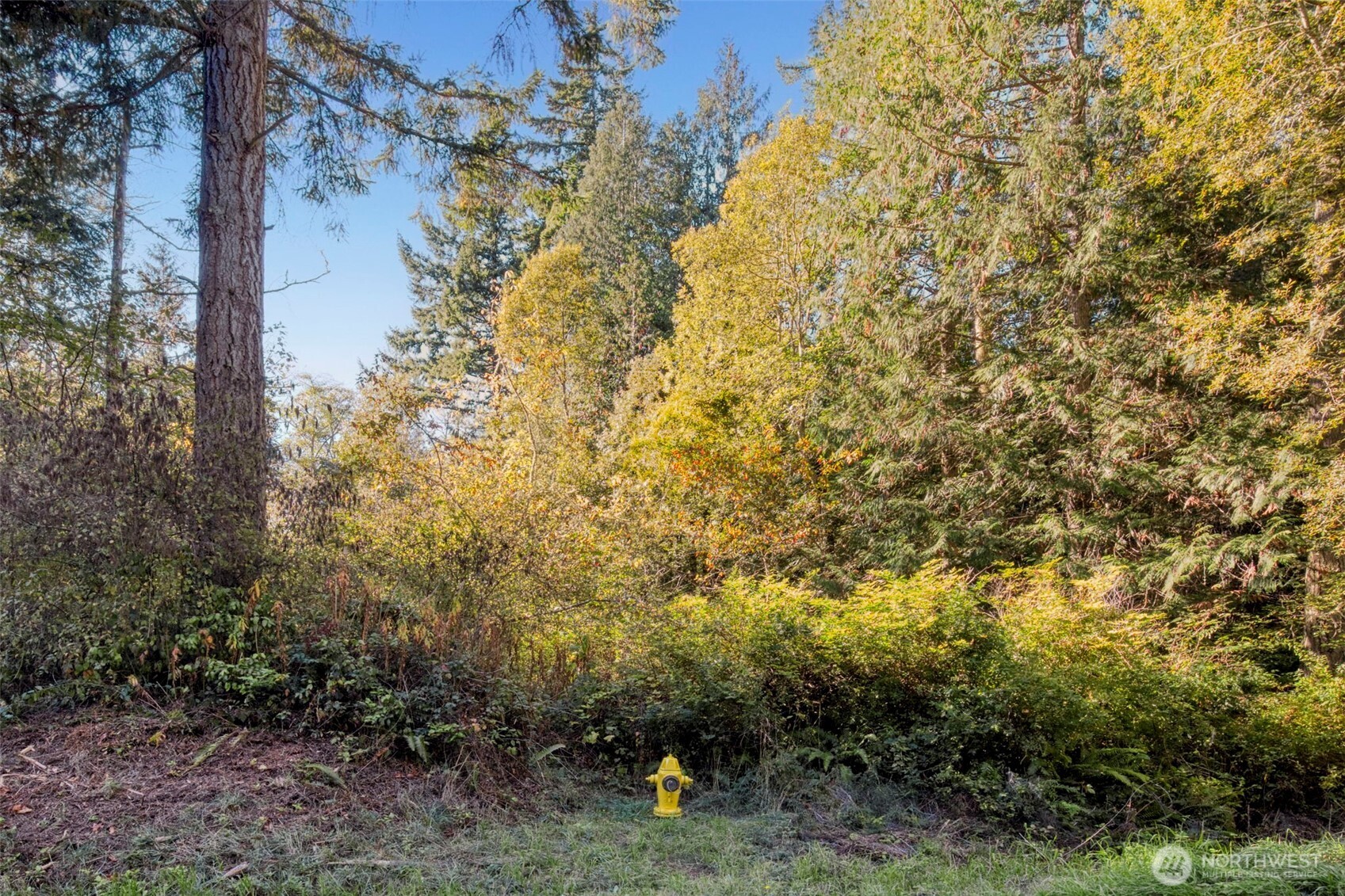 0 Skunk Bay Road Northeast Hansville, WA 98340 - Photo 4 of 19 a view of a field with plants and trees