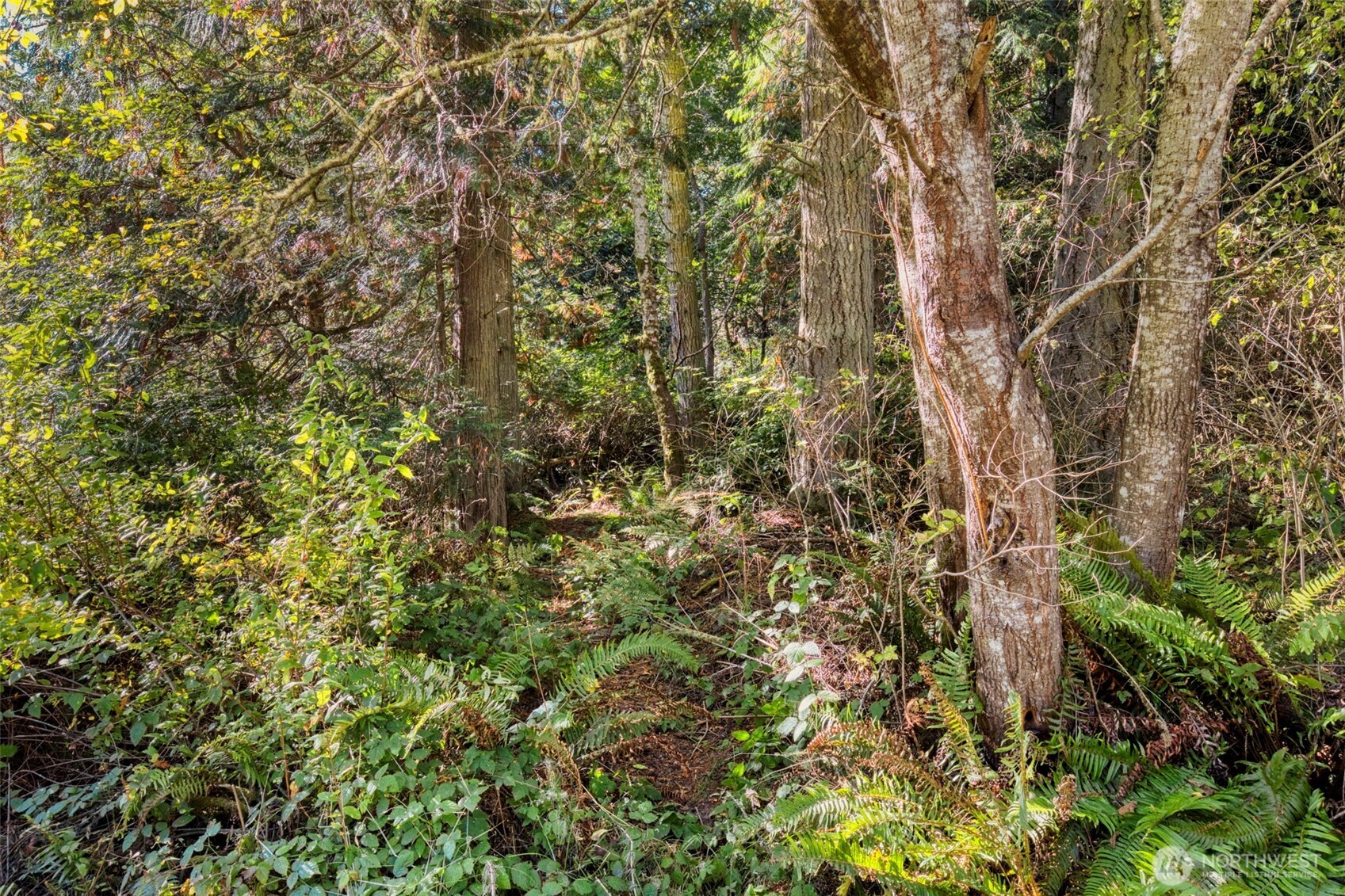 0 Skunk Bay Road Northeast Hansville, WA 98340 - Photo 5 of 19