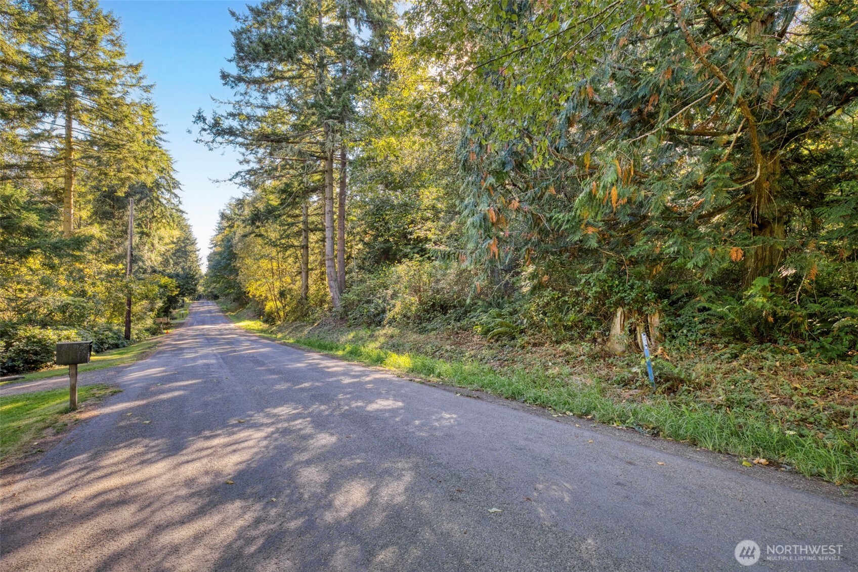 0 Skunk Bay Road Northeast Hansville, WA 98340 - Photo 6 of 19 a view of a yard with plants and trees