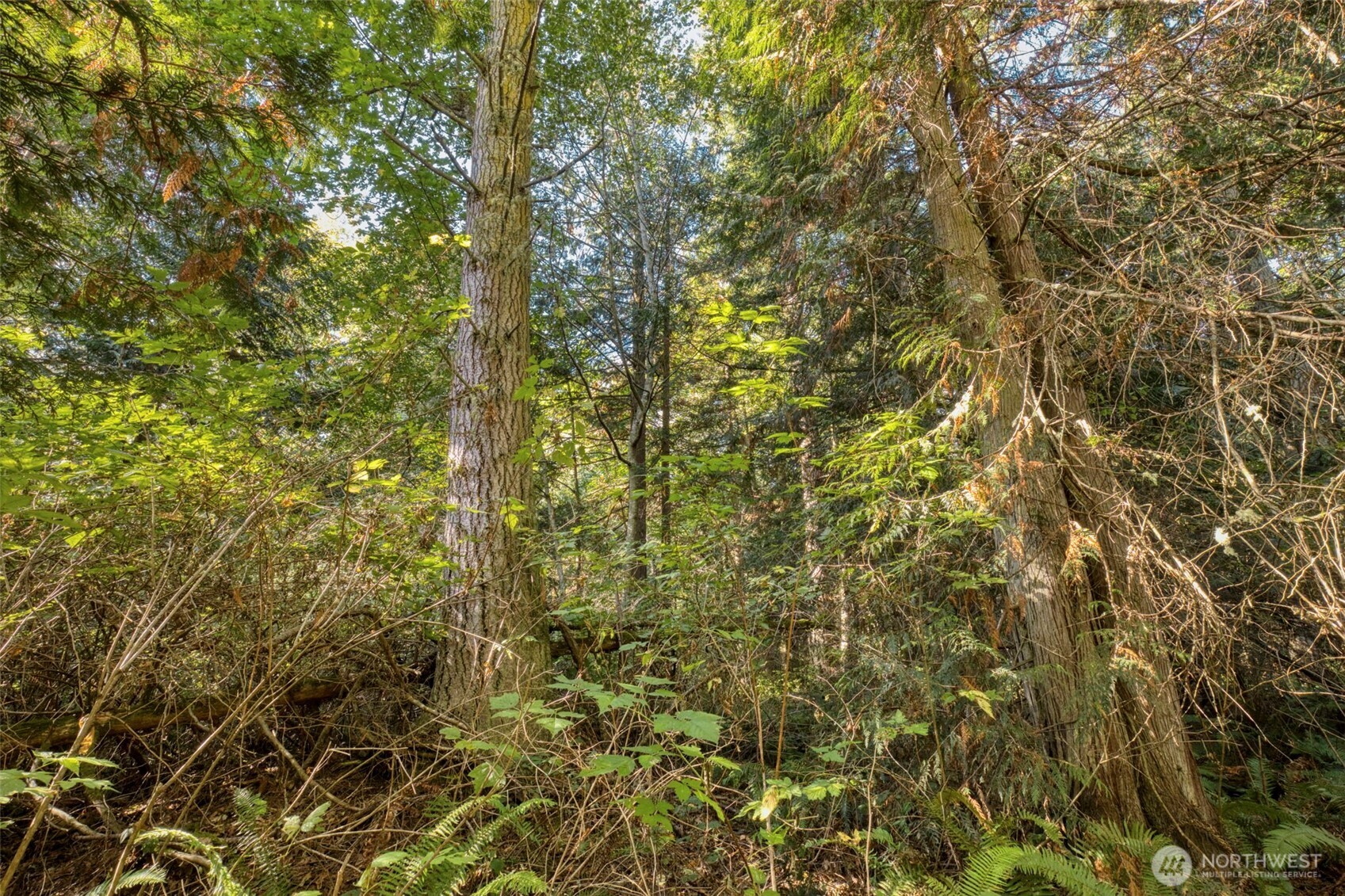 0 Skunk Bay Road Northeast Hansville, WA 98340 - Photo 7 of 19