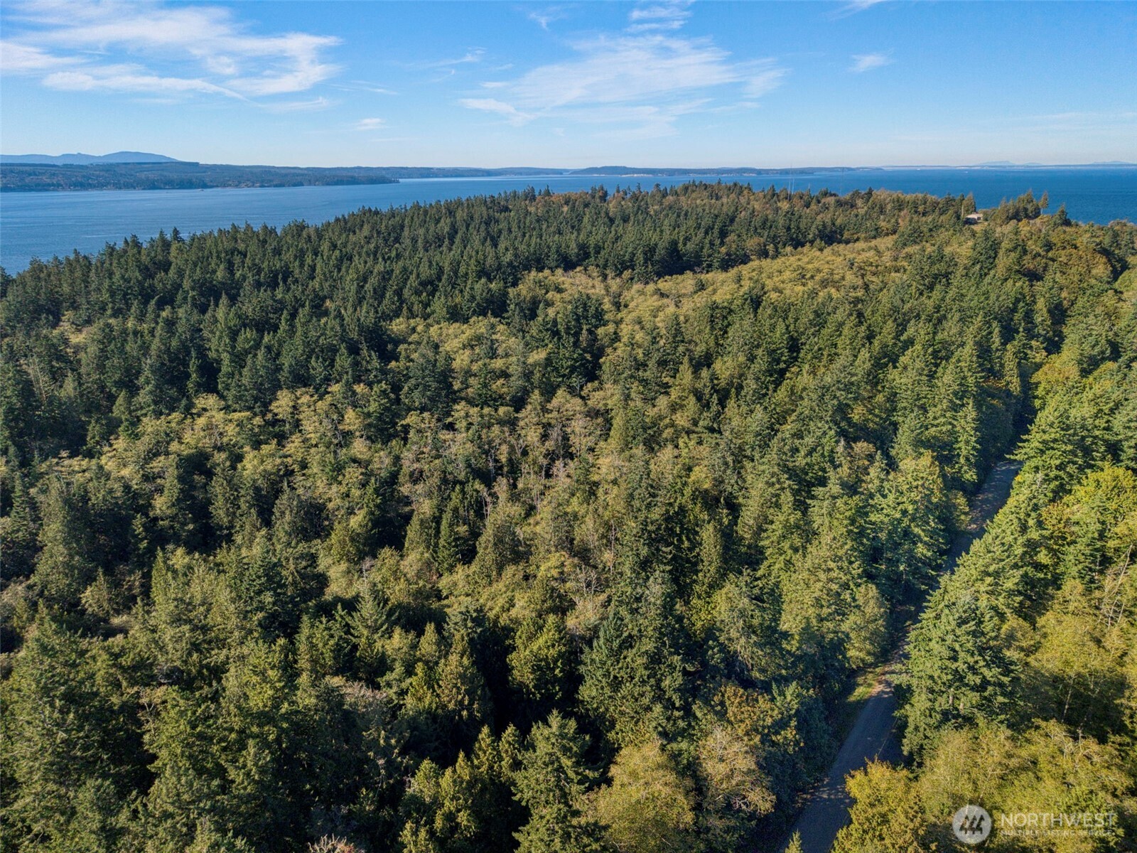 0 Skunk Bay Road Northeast Hansville, WA 98340 - Photo 9 of 19 a view of a forest with a street