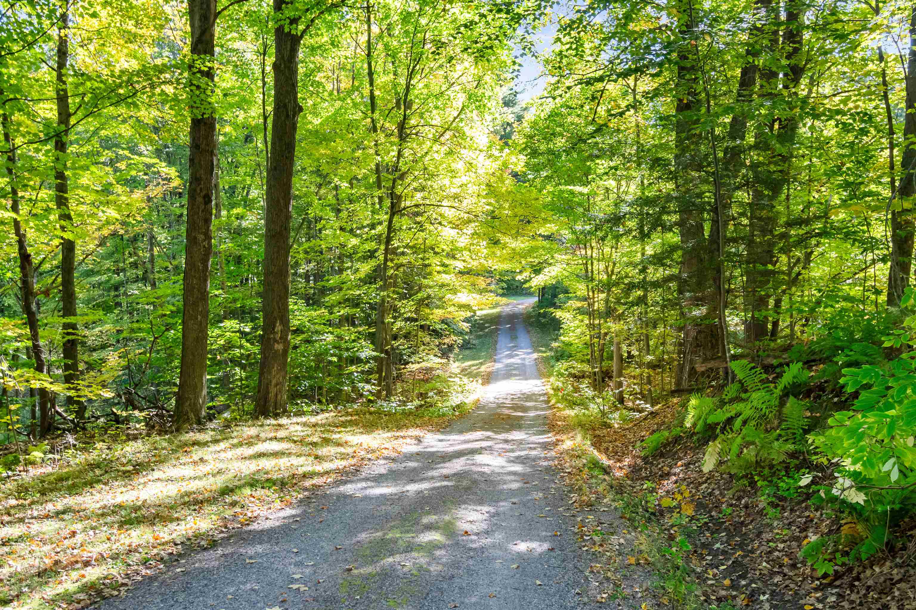 446 Sanderson Road Milton, VT 05468 - Photo 40 of 60