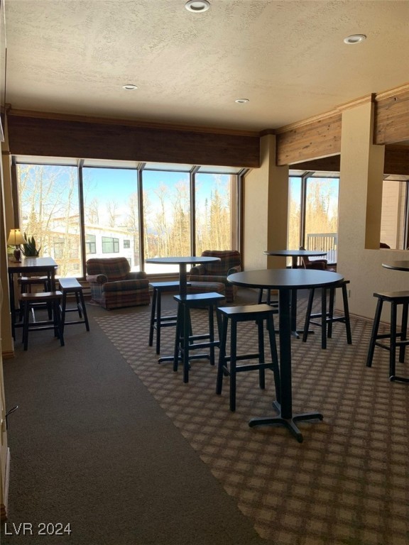 150 Ridgeview Street, Unit 213 Brian Head, UT 84719 - Photo 27 of 30