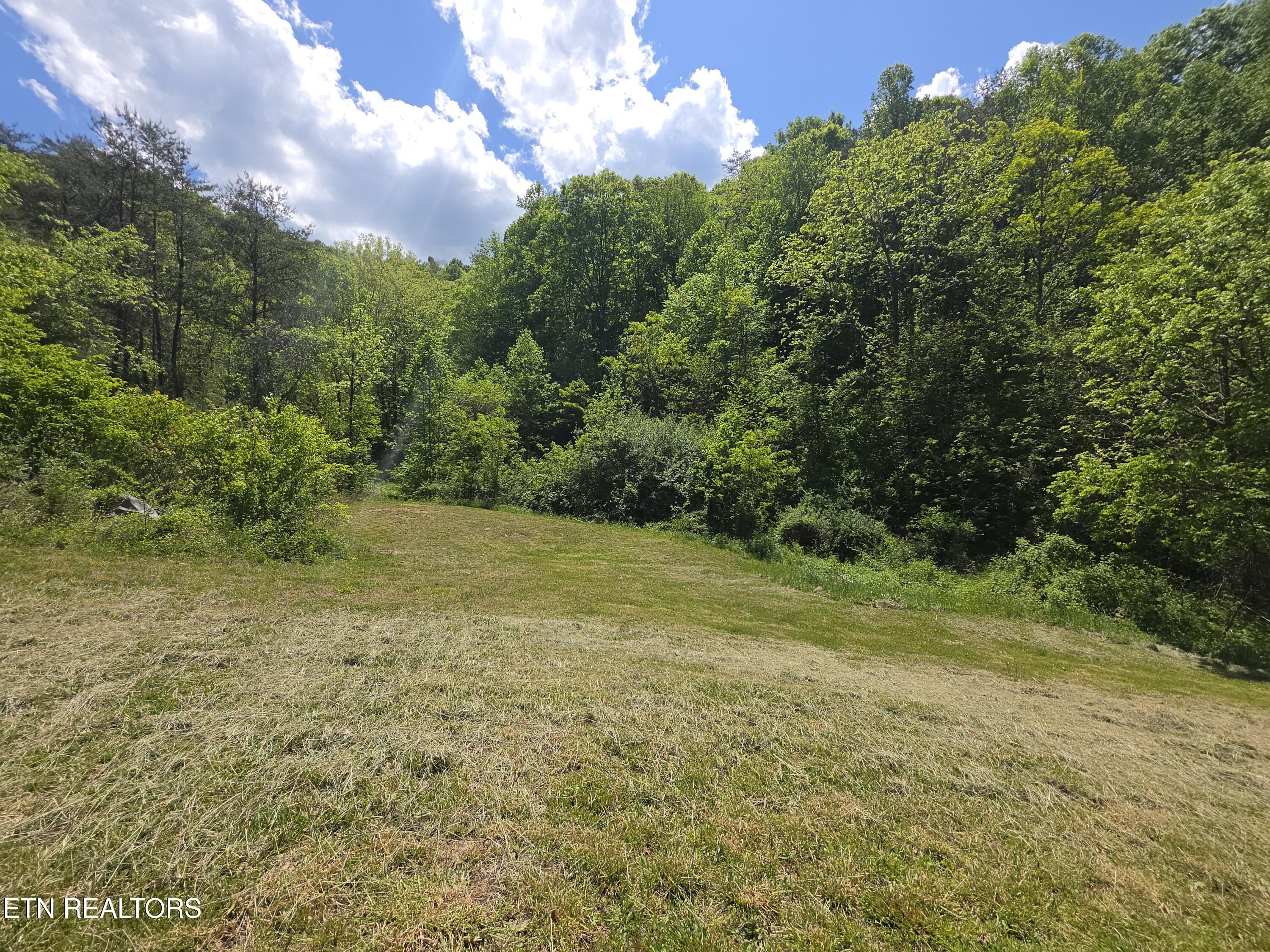 1220 Raven Hill Road Tazewell, TN 37879 - Photo 22 of 40 20260423_132150