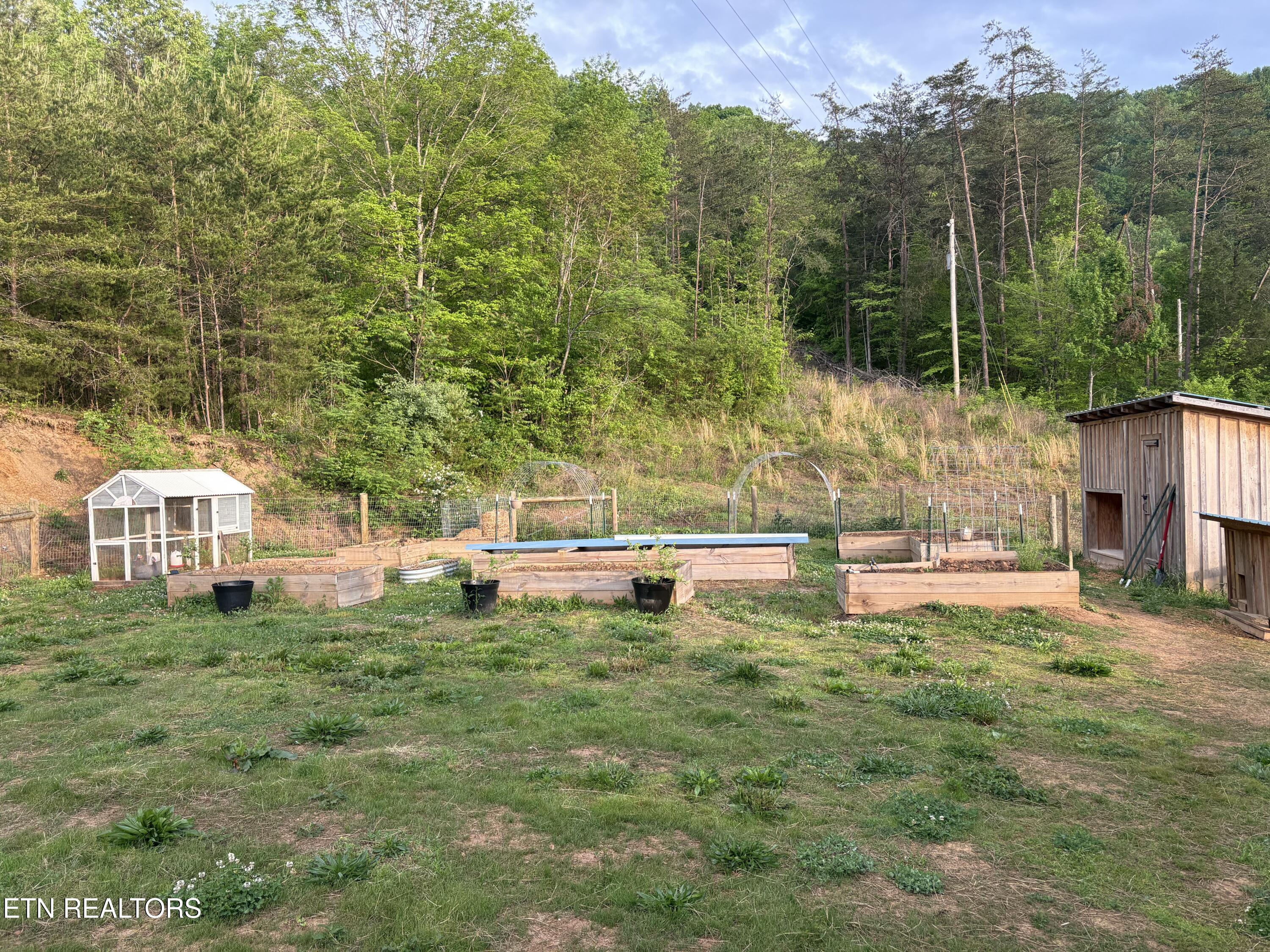 1220 Raven Hill Road Tazewell, TN 37879 - Photo 3 of 40 IMG_20260425_212927