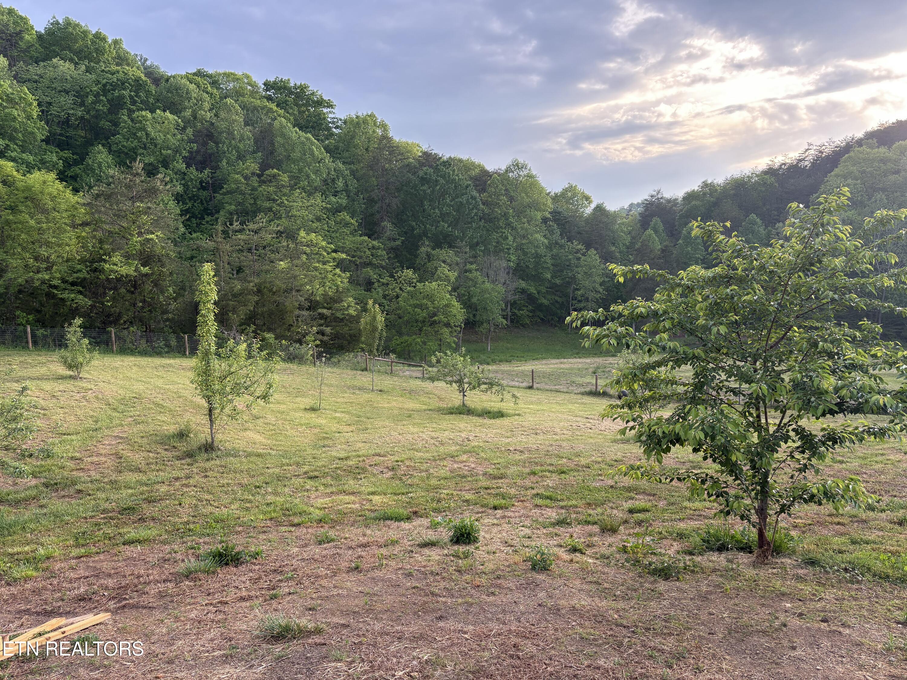 1220 Raven Hill Road Tazewell, TN 37879 - Photo 5 of 40 IMG_20260425_212923