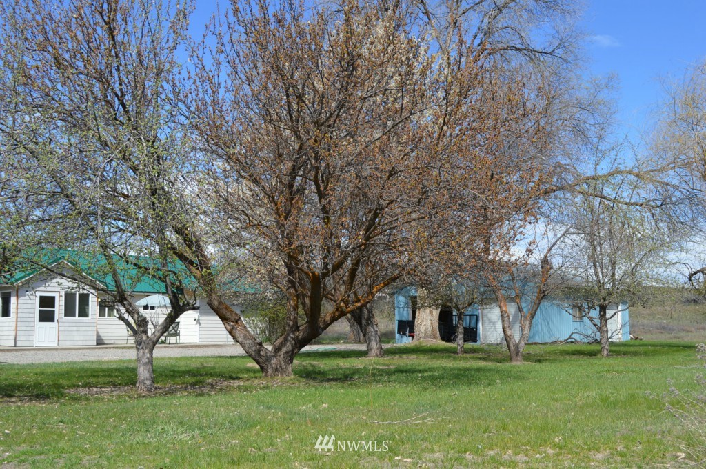 630 A Twisp Carlton Road Twisp, WA 98856 - Photo 12 of 19 Gallery Image 12