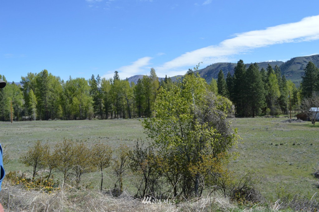 630 A Twisp Carlton Road Twisp, WA 98856 - Photo 15 of 19 Gallery Image 15