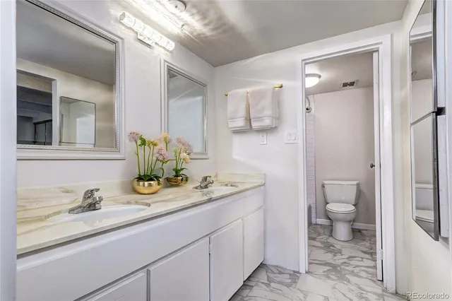a bathroom with a granite countertop sink toilet and shower
