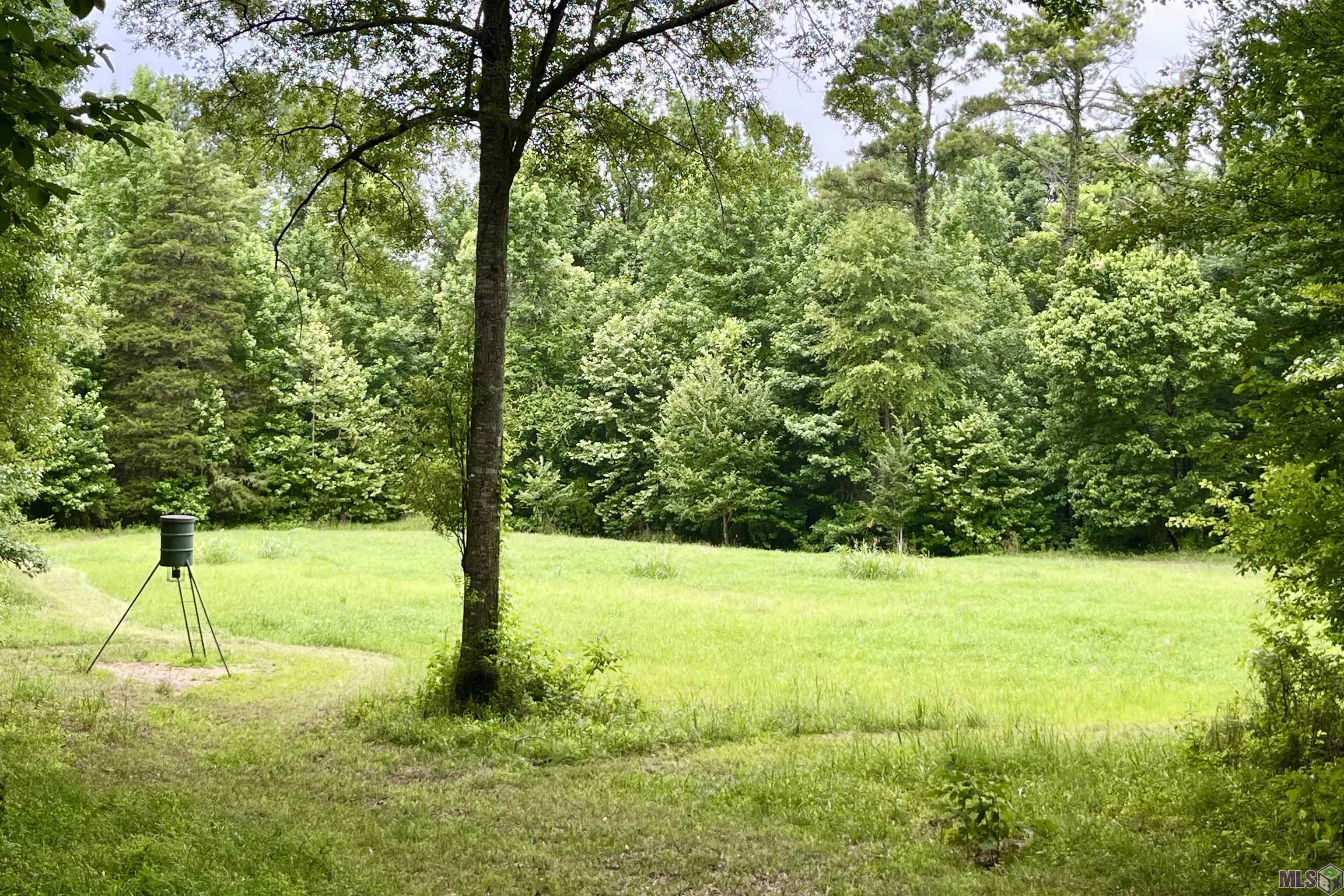 655 Oil Well Road Fayette, MS 39069 - Photo 51 of 58