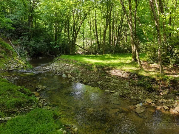 a view of a lake with a forest